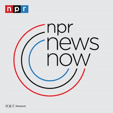 NPR News: 01-01-2025 4AM EST